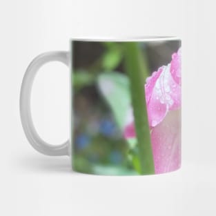 Springtime Mug